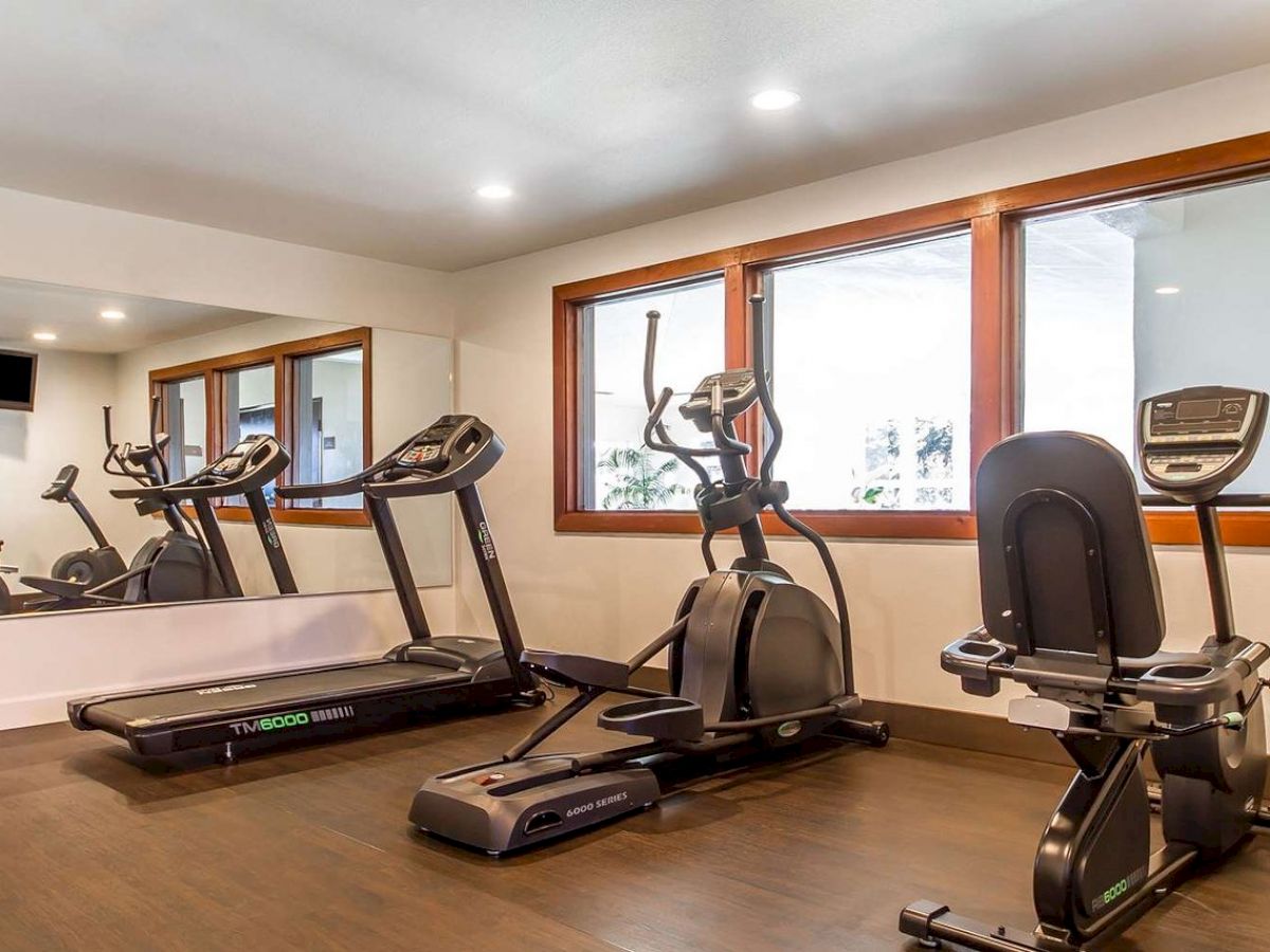 A gym with a treadmill, elliptical machine, and recumbent bike. Large mirrors and windows provide a bright and spacious workout environment.